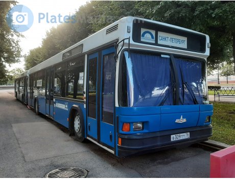 в309тт78, MAZ 163