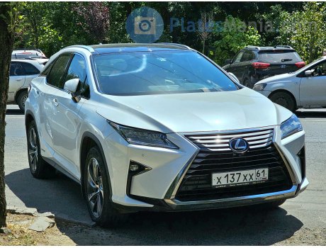 х137хх61, Lexus RX