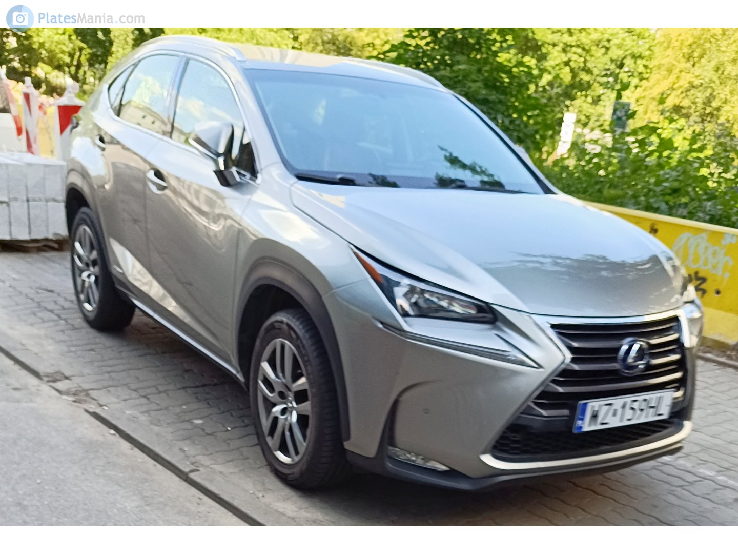 WZ 159HL, Lexus NX 1st gen (AZ10), 2014–2017