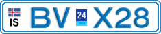 BV X28