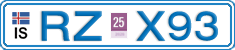 RZ X93
