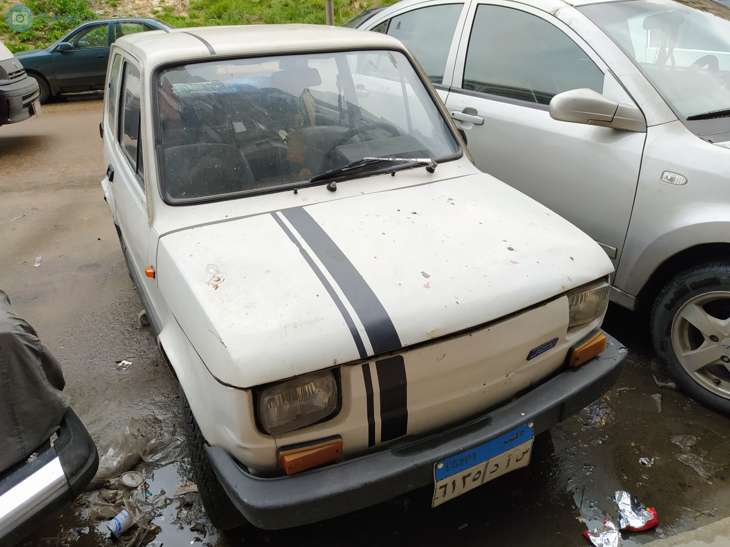 ٦١٣٥ دأس, FIAT 126 600/650/FSM, 1972–1991