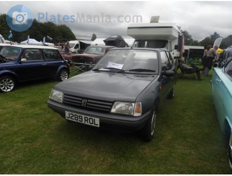 J289 ROL, Peugeot 205