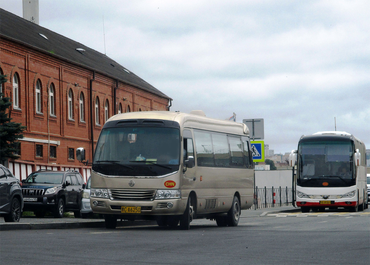 黑C·A6250, Golden Dragon XML6700 