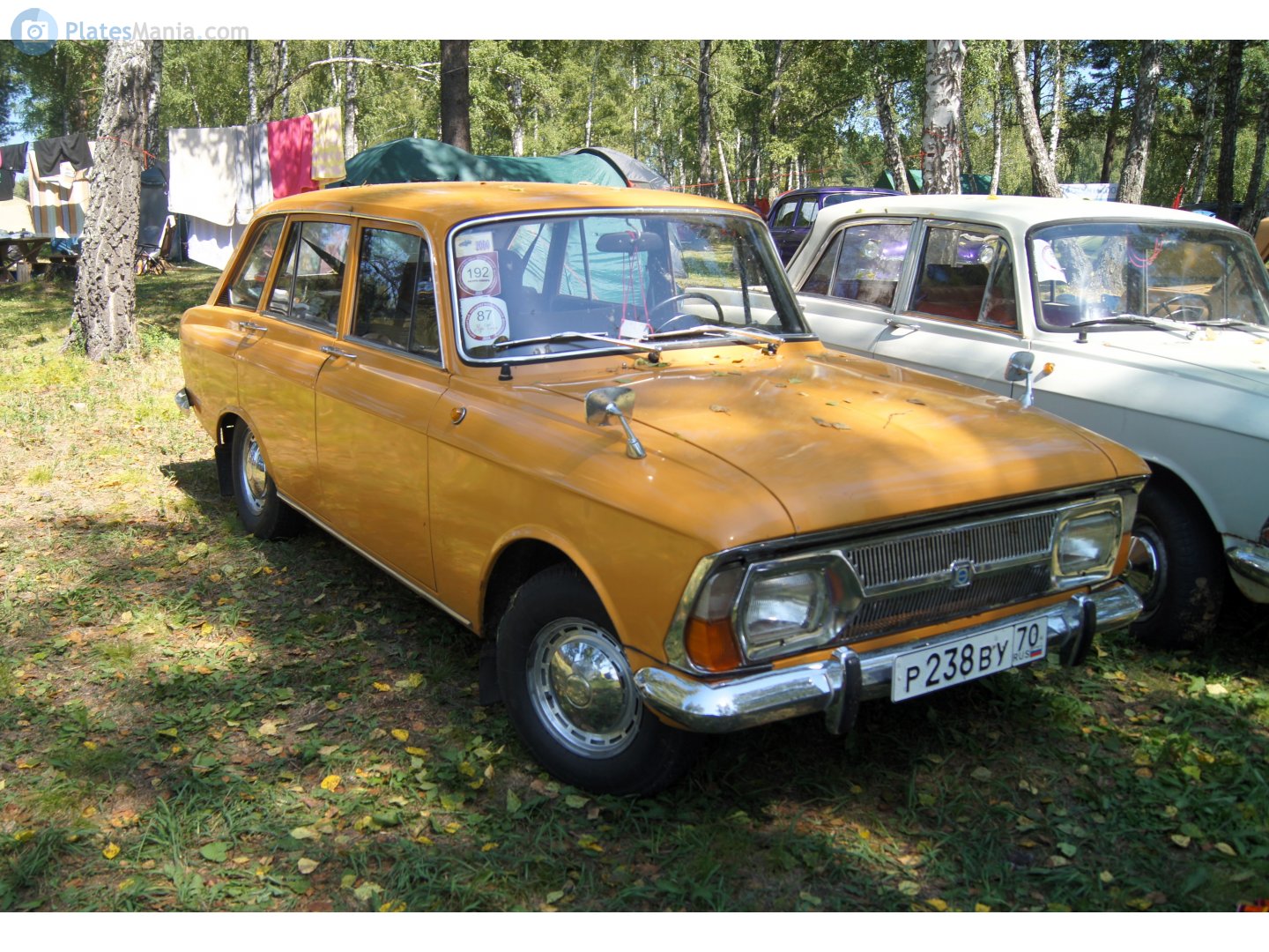 р 238 ву 70, Izh 2125 2125, 1973–1982