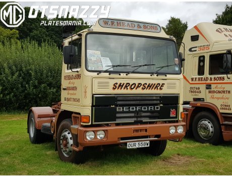 OUR 558W, Bedford TM