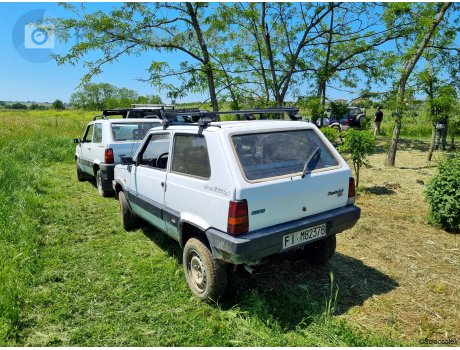 FI M82378, FIAT Panda