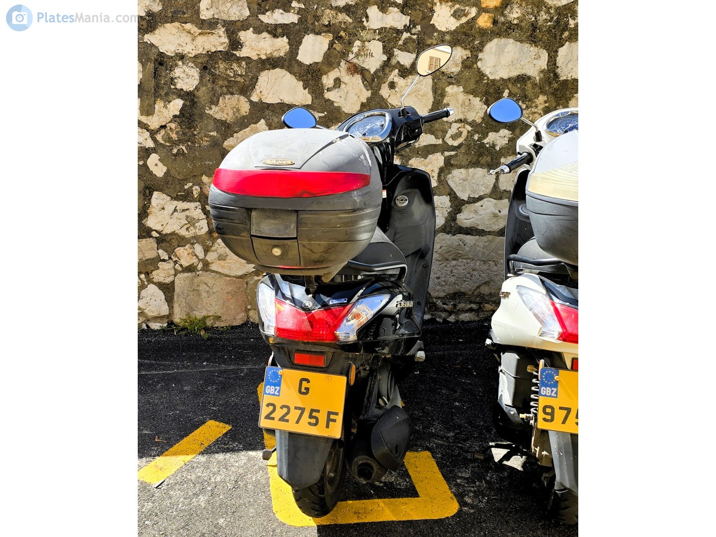 G 2275 F, Yamaha Delight 