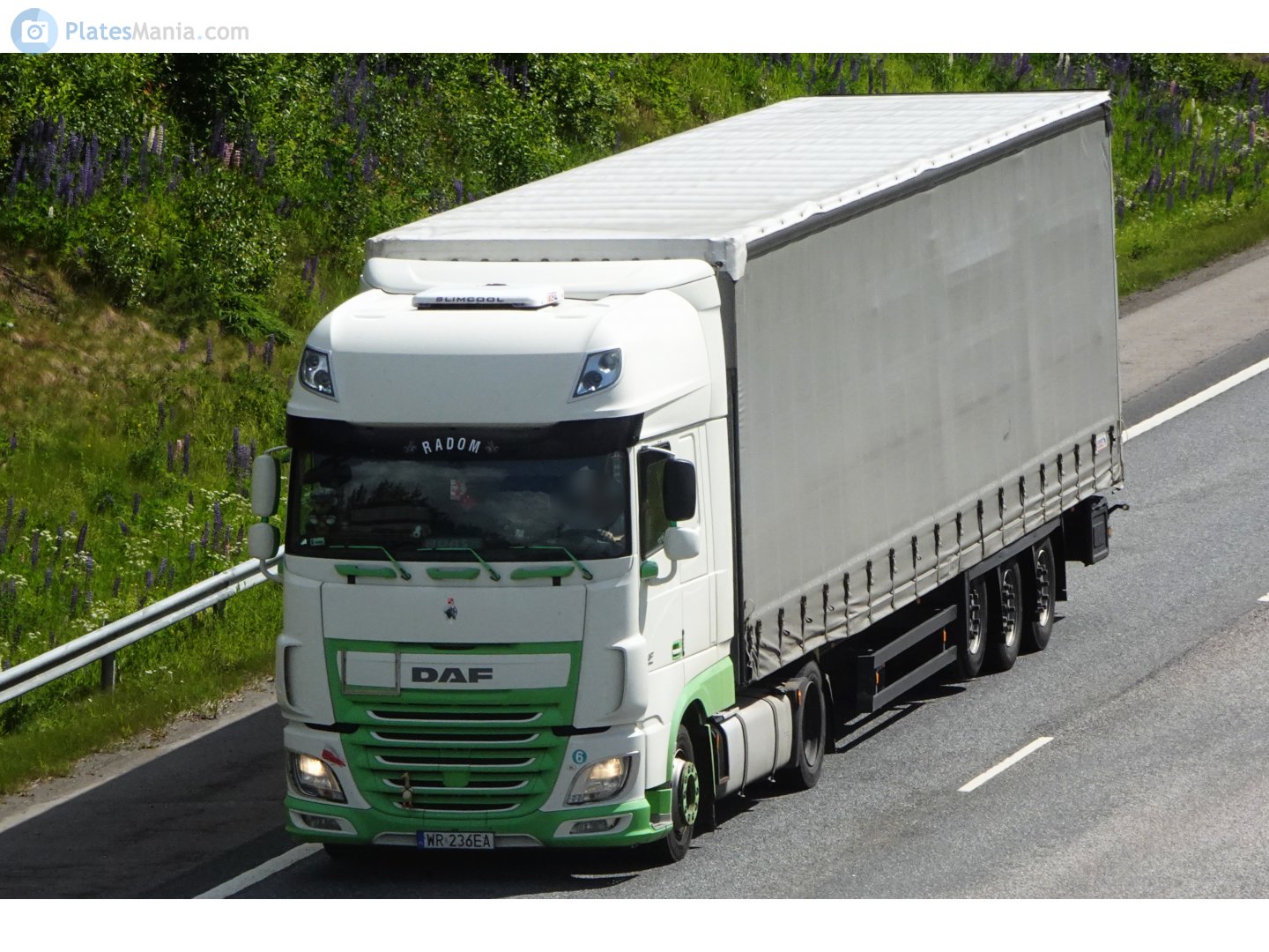 WR 236EA, DAF XF 4th gen, 2013–2017