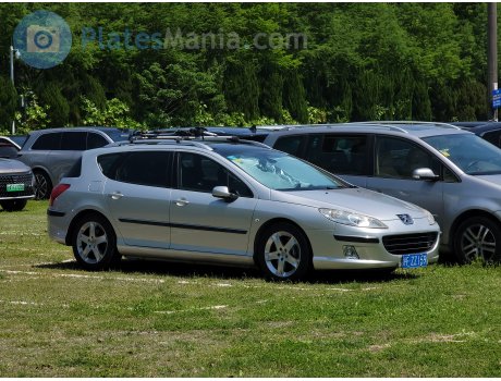 沪F·ZZ159, Peugeot 407