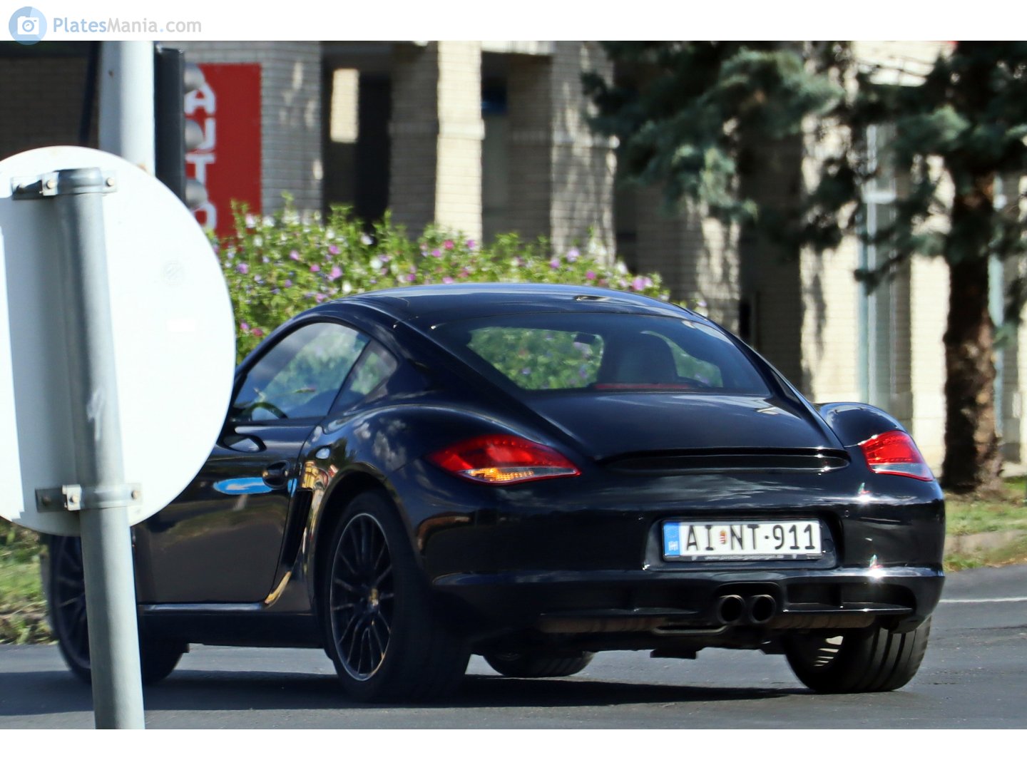 AI NT-911, Porsche Cayman 1st gen (987C), 2005–2012