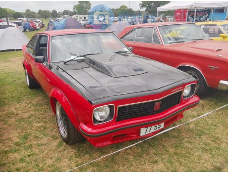 77 SS, Holden Torana