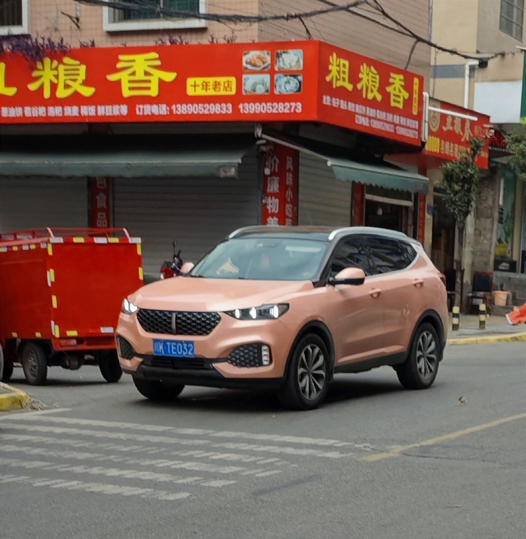 川K·TE032, WEY VV6 