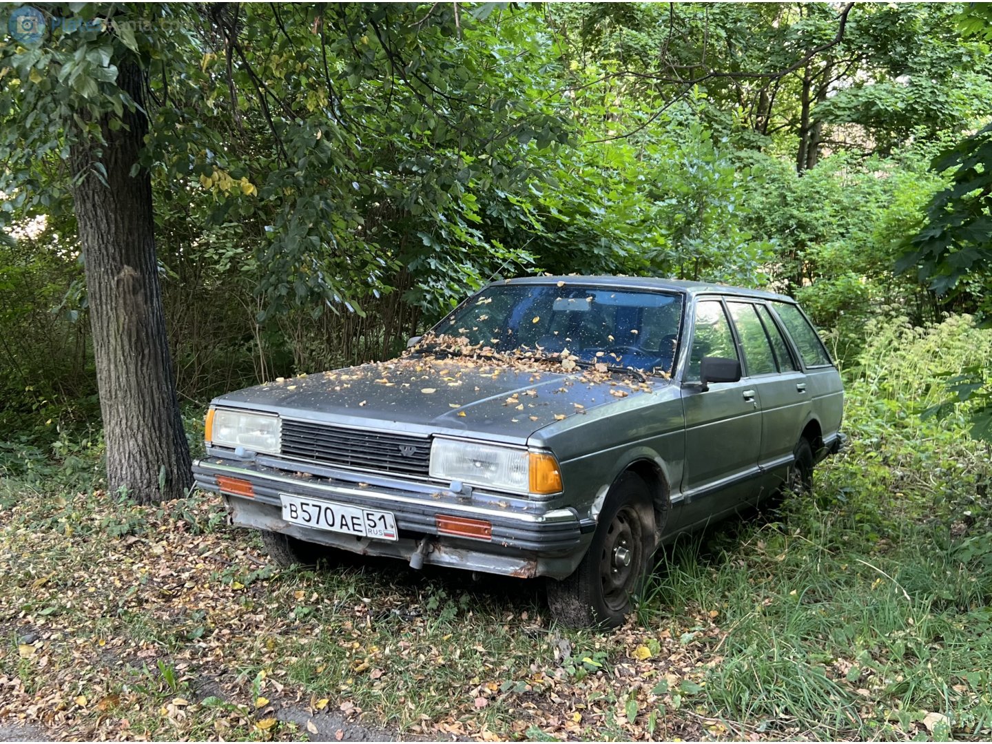 в 570 ае 51, Nissan Bluebird 6th gen Wagon (910), 1981–1993