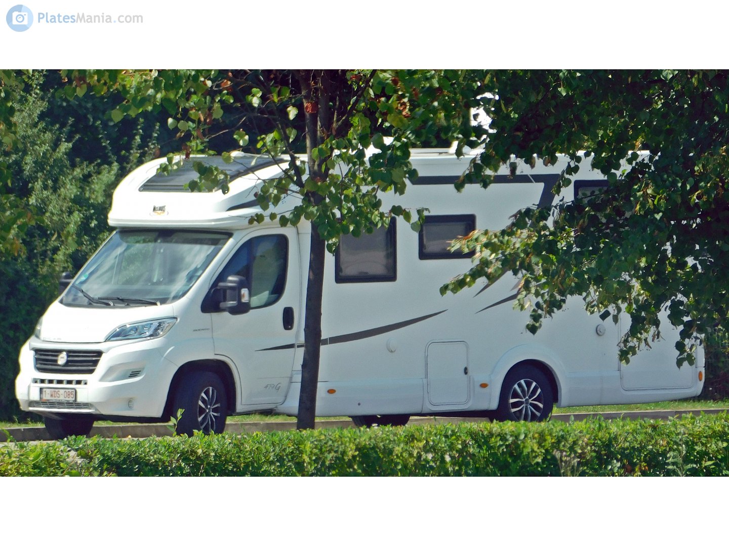 1-WDS-085, McLouis Carat 