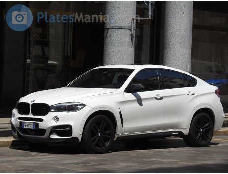 FW 981 XE, BMW X6