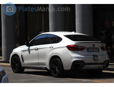 FW 981 XE, BMW X6