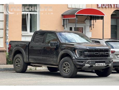 р066аа44, Ford F-150