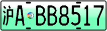 License plate of China, Electric vehicles