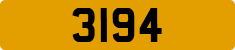 3194