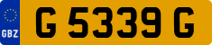 G 5339 G