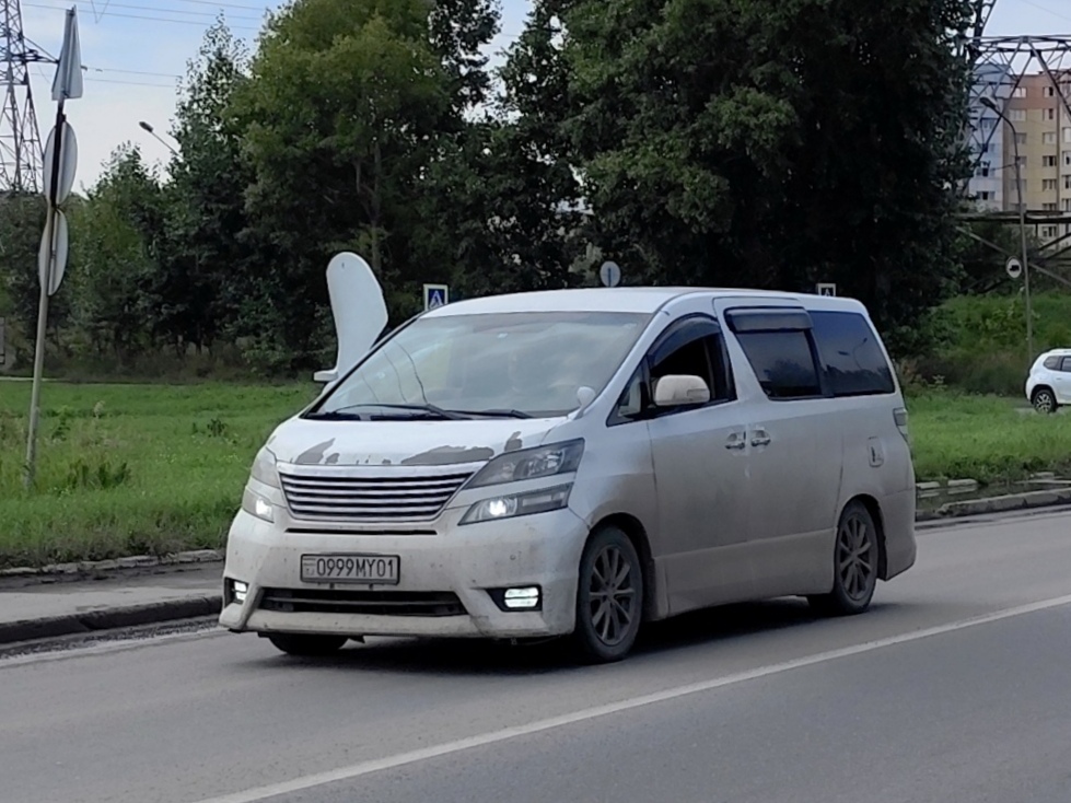 0999MY01, Toyota Vellfire 1st gen (AH20), 2008–2015