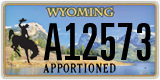 Wyoming, Apportioned (A12345)