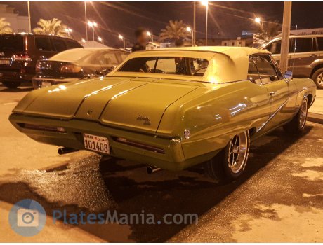 101408, Buick Skylark