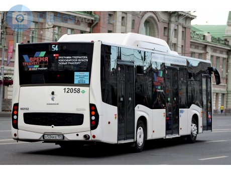 к534ке154, NefAZ (NZAS) 5299