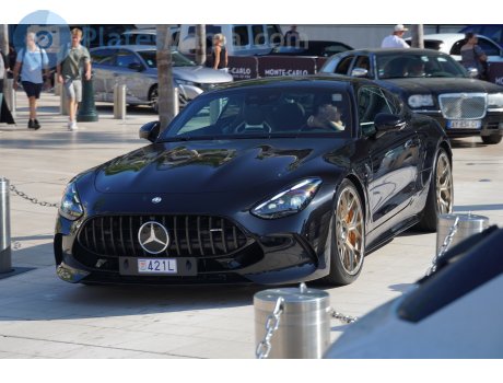 421L, Mercedes-Benz AMG GT