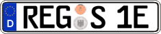 German license plate, Electric vehicles