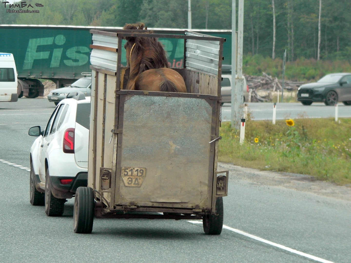 5119 ЭД, Trailers (1977) 