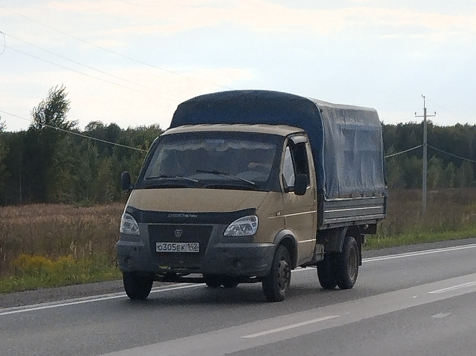 о 305 ек 142, GAZ 3302 ГАЗель 3302-211 Эконом, 2009