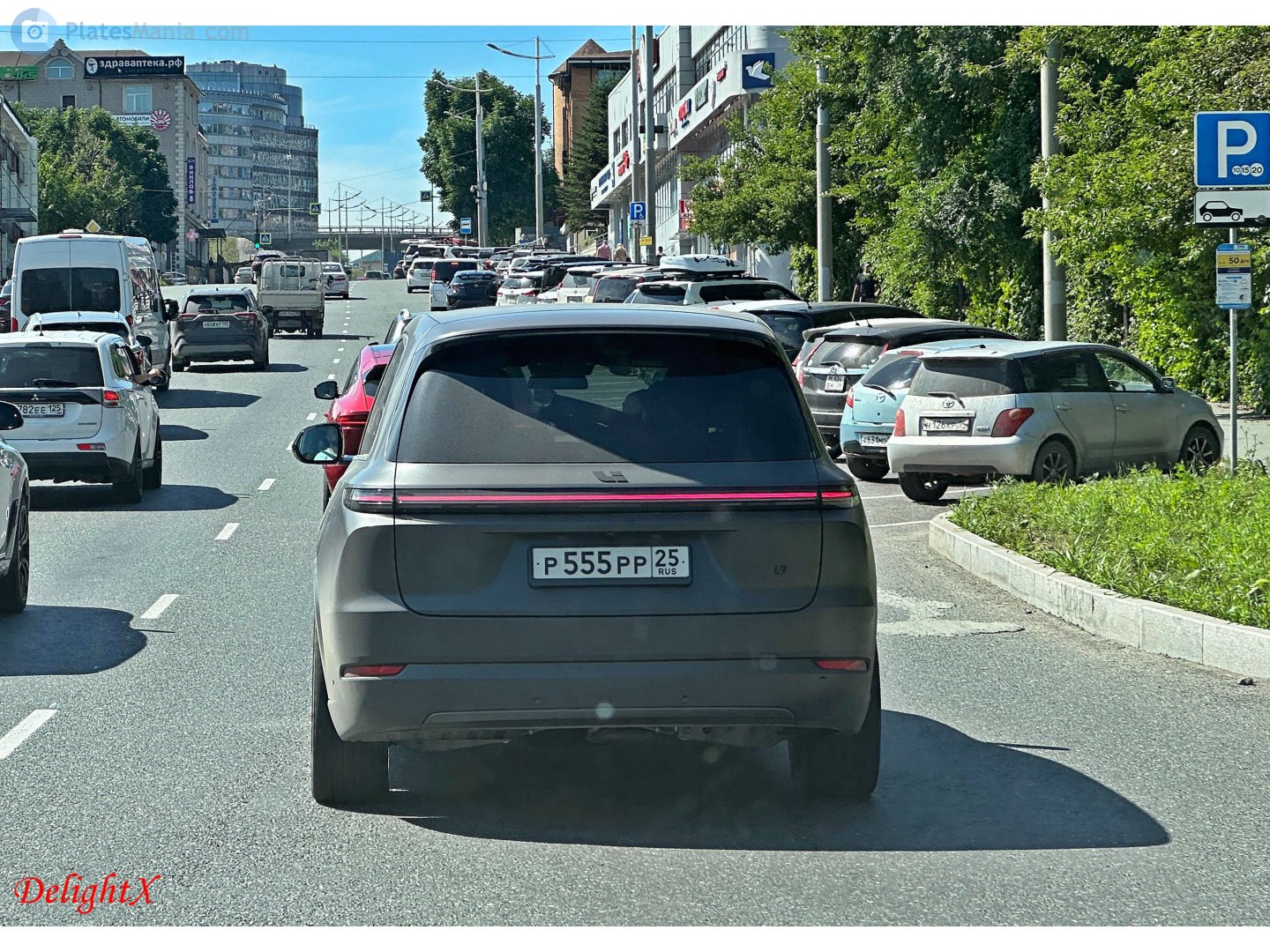 р 555 рр 25, Li Xiang L9 1st gen, 2022–