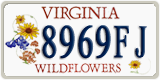 Virginia, Specialty plates (1234AB)