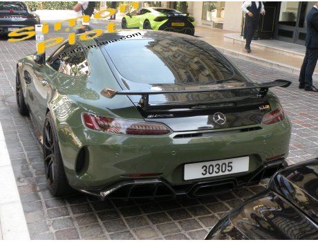 30305, Mercedes-Benz AMG GT
