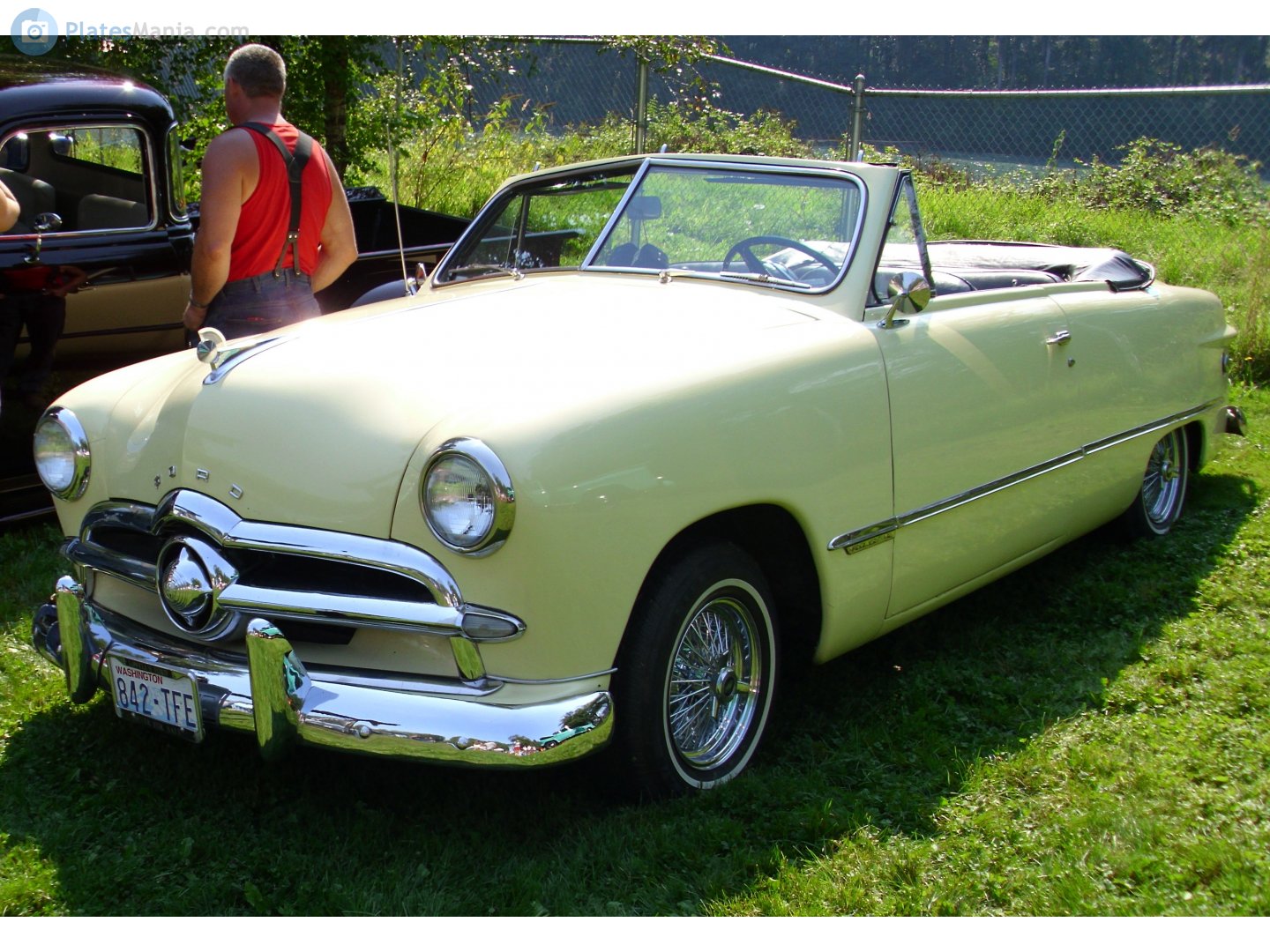 842-TFE, Ford Custom 