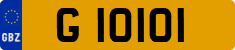 G 10101