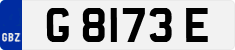G 8173 E