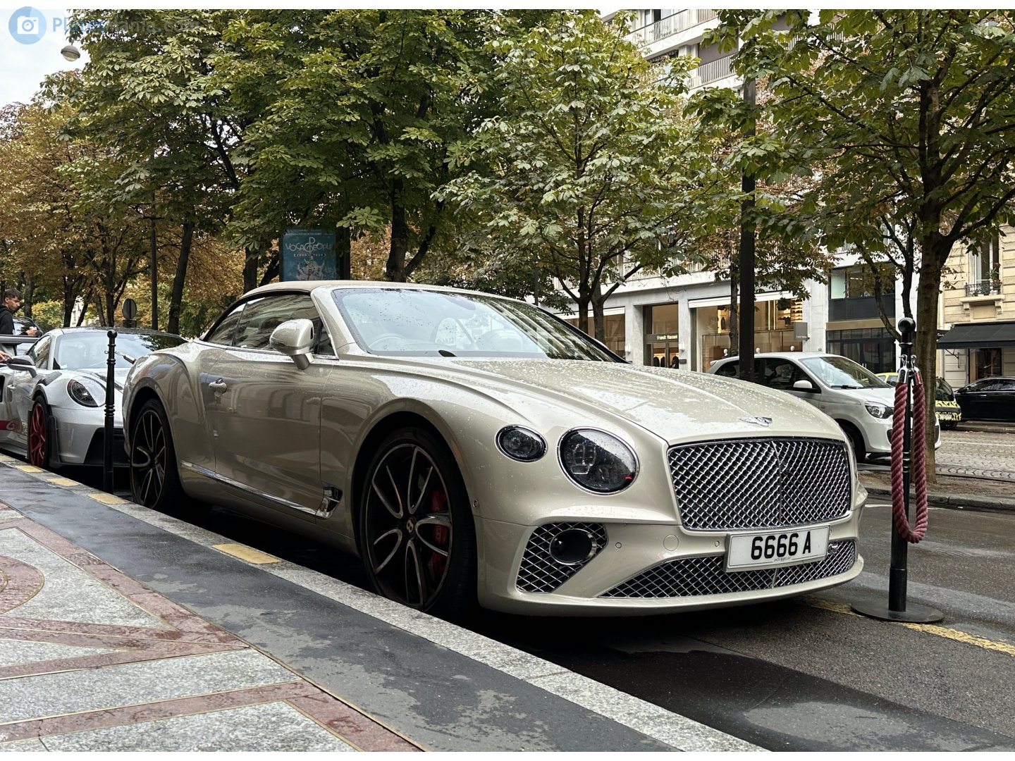 6666A, Bentley Continental 6th gen GTC, 2019–2024