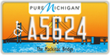 Michigan, Vehicles for disabled persons (A1234)