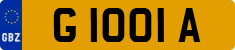 G 1001 A