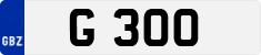 G 300
