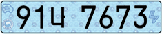 License plate of South Korea, Electric vehicles