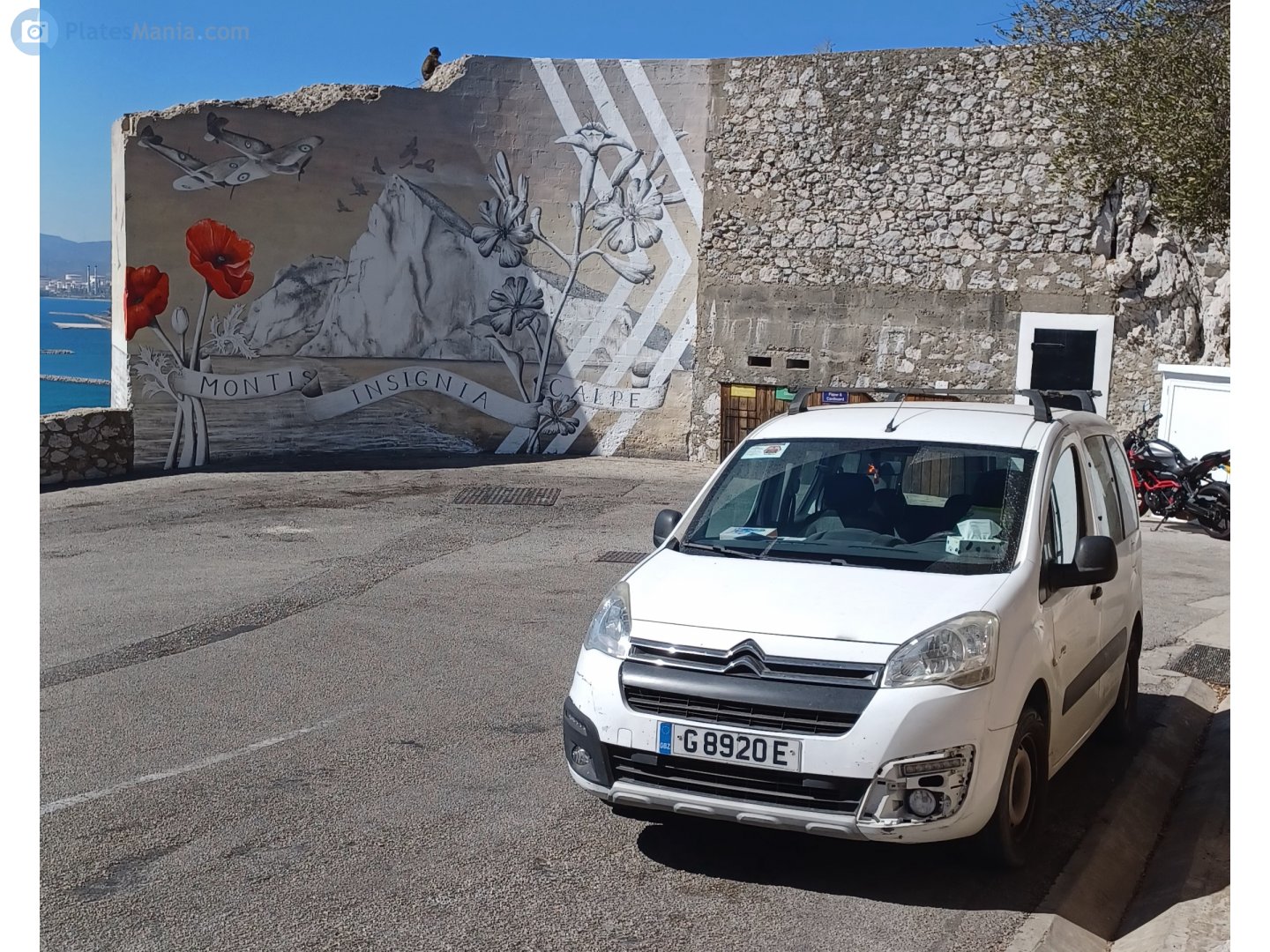 G 8920 E, Citroёn Berlingo 2nd gen Multispace (B9), 2008–2018 (–2022 for CIS-market)