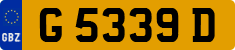 G 5339 D