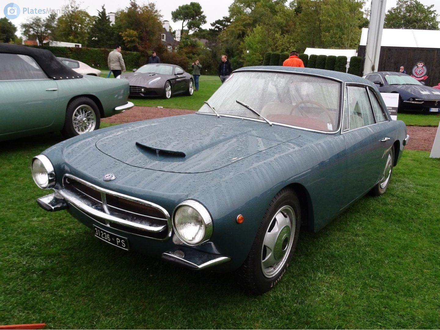 PS 31236, O.S.C.A. 1600 GT 