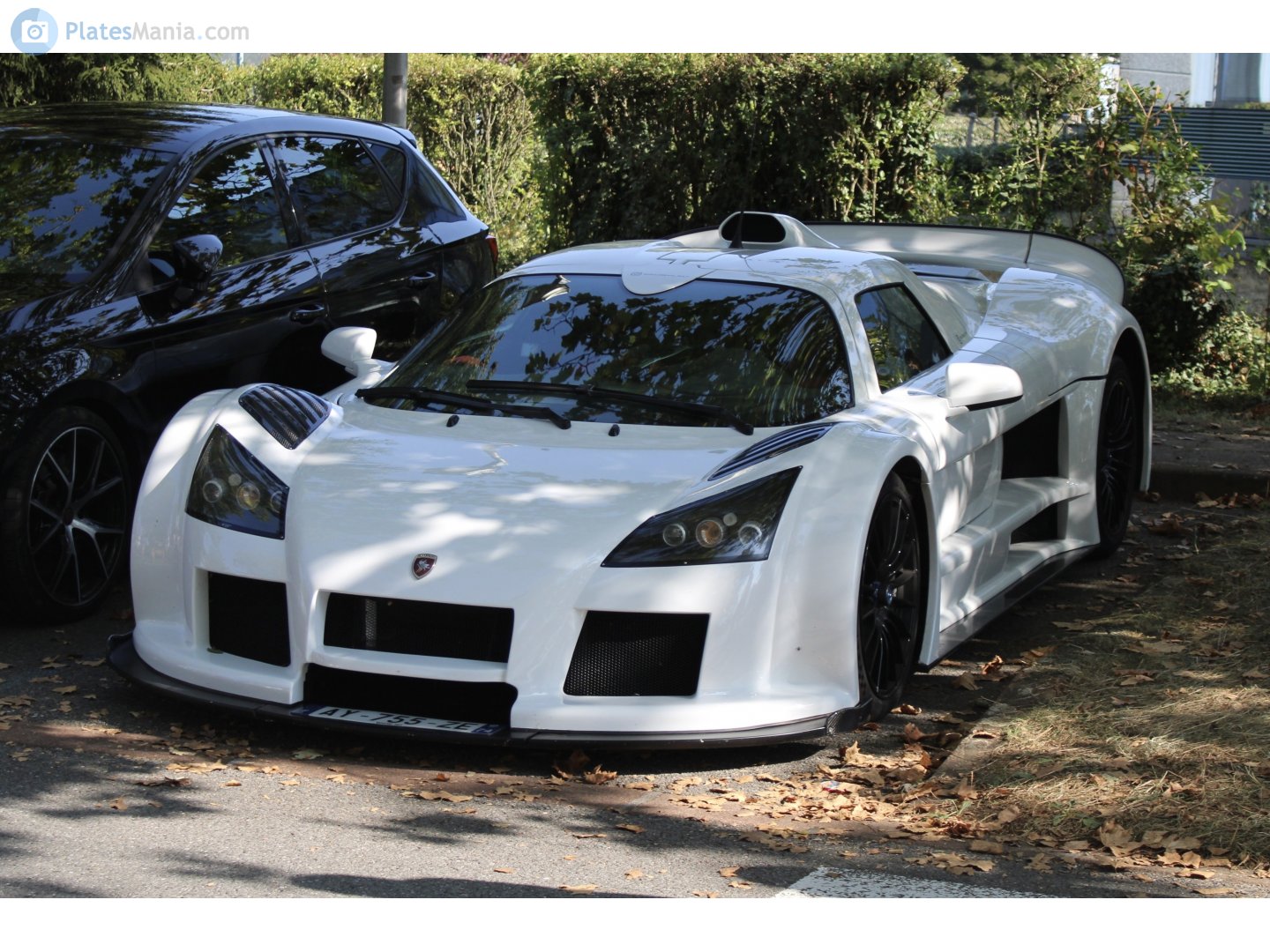 AY-755-ZE, Gumpert Apollo 