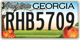 Georgia, ABC 1234