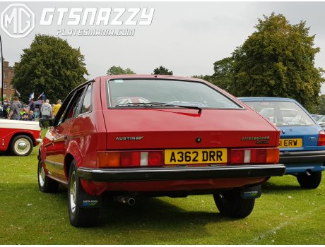 A362 DRR, Austin Ambassador